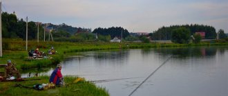 Fishing in the Ramensky district