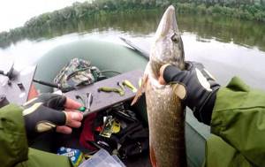 Рыбалка в Рязанской области: лучшие места и отзывы