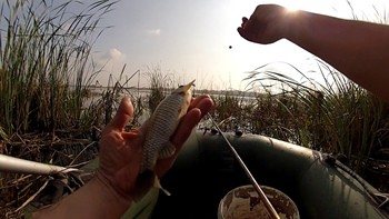 Рыбалка в сентябре на карася