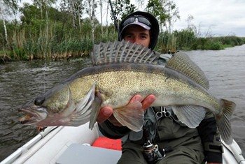 Fishing for pike perch in September