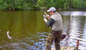 Fishing in the Serpukhov region on the Oka and paid ponds