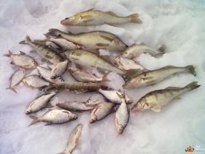 рыбалка в татарстане зимой 2021 на каме