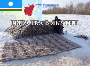 Рыбалка в Якутии (Республика Саха) от f1sh1ng.ru