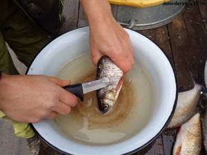 Рыбец (сырть). Фото и описание, рецепт, как приготовить вяленый, соленый, сушеный, копченый