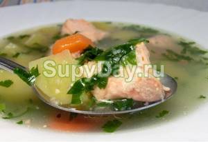 Fish soup with trout and shrimp