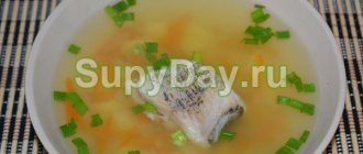 Fish soup with shrimp