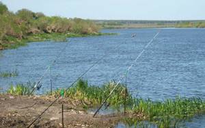 'Рыболовные места в Липецкой области: реки, озера и лучшие 