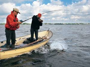 You can fish from a boat with both long and short spinning rods.