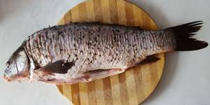 Stuffed carp (fishing cuisine)