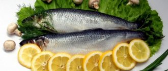 Homemade silver carp herring