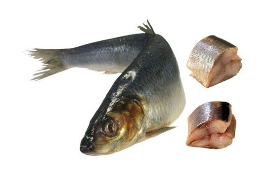Silver carp herring at home, recipe