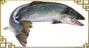 Live salmon