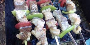 sturgeon kebab with vegetables