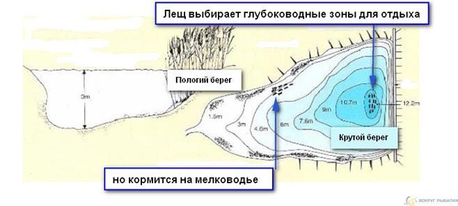 Location diagram of bream in a pond