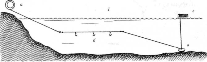 Elastic band diagram