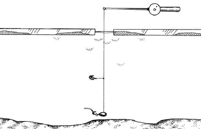 Fishing rod diagram for grayling