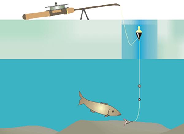 Схема устройства поплавочной удочки для зимней рыбалки