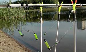 Bite alarms and rod stands