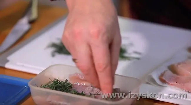 Place the fish in layers, sprinkling with dill and bay leaves.