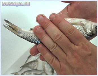 Wash off mucus and salt from the fish&#39;s body