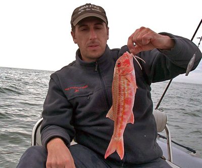 tackle for catching red mullet