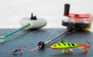 tackle for catching perch on a balancer from ice