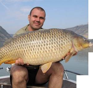 Tackle for catching carp in Astrakhan
