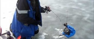 Tackle for catching pike perch in winter