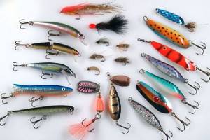 Tackle for winter fishing