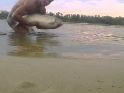 tackle for carp in July on the lake