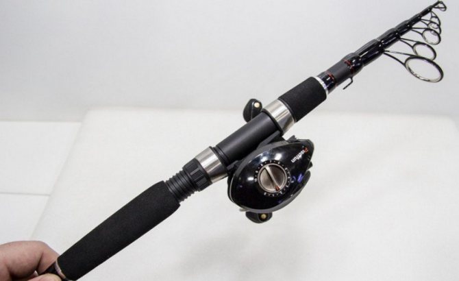 Carbon spinning rod