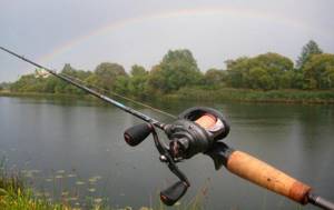 Spinning rod with multiplier reel