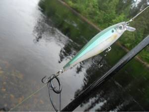 spinning rod with bait