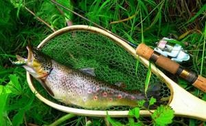 ultralight spinning rod for trout