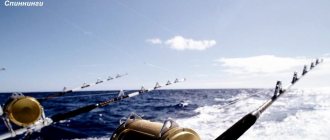 spinning rods at sea