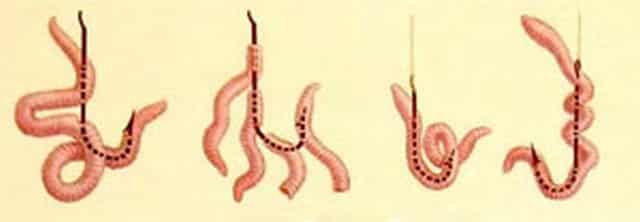 Ways to put a worm on a hook
