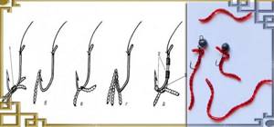 Methods for attaching bloodworms