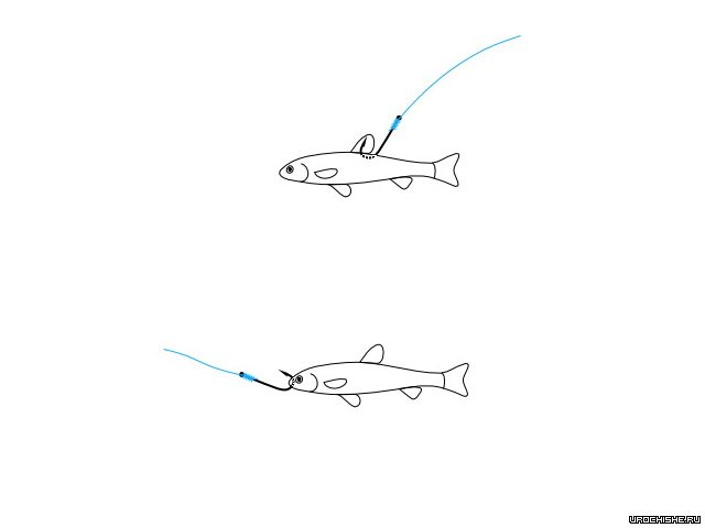 methods of baiting bait