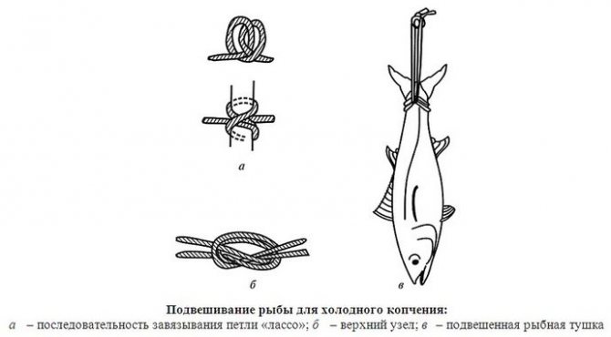 Способы подвешивания и подпетливания рыбы, мяса, птицы и сала для копчения, выбор шпагата и веревки.