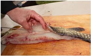 cut fillets with skin from the sides of the pike