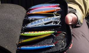 Stickbaits are ideal for area fishing on stretches and lakes