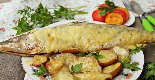 pike perch in the oven the most delicious recipe