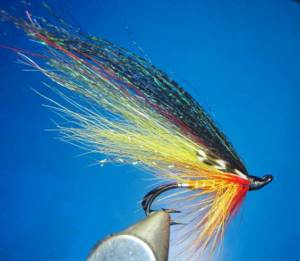 Dry flies and streamers are the most popular baits when fishing for sbirulino.