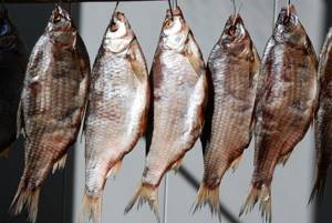 Drying fish on the balcony