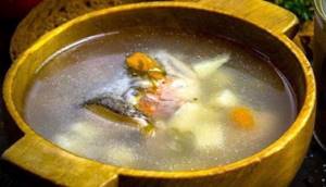 Taimen fish. Photos and descriptions, cooking recipes 