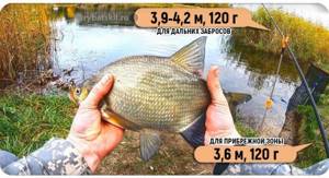 Fishing tactics for bream in the fall on a feeder