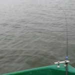 Fishing technique