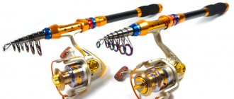 Telescopic spinning rod - review of the best and budget models