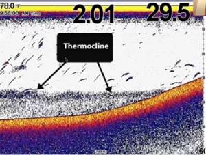 thermocline echo sounder screen