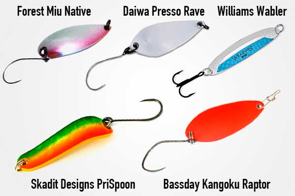 TOP 5 trout baits